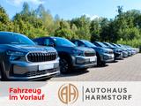 Audi A5 Avant TDI 2 mal S-Line Beif. Display Matrix