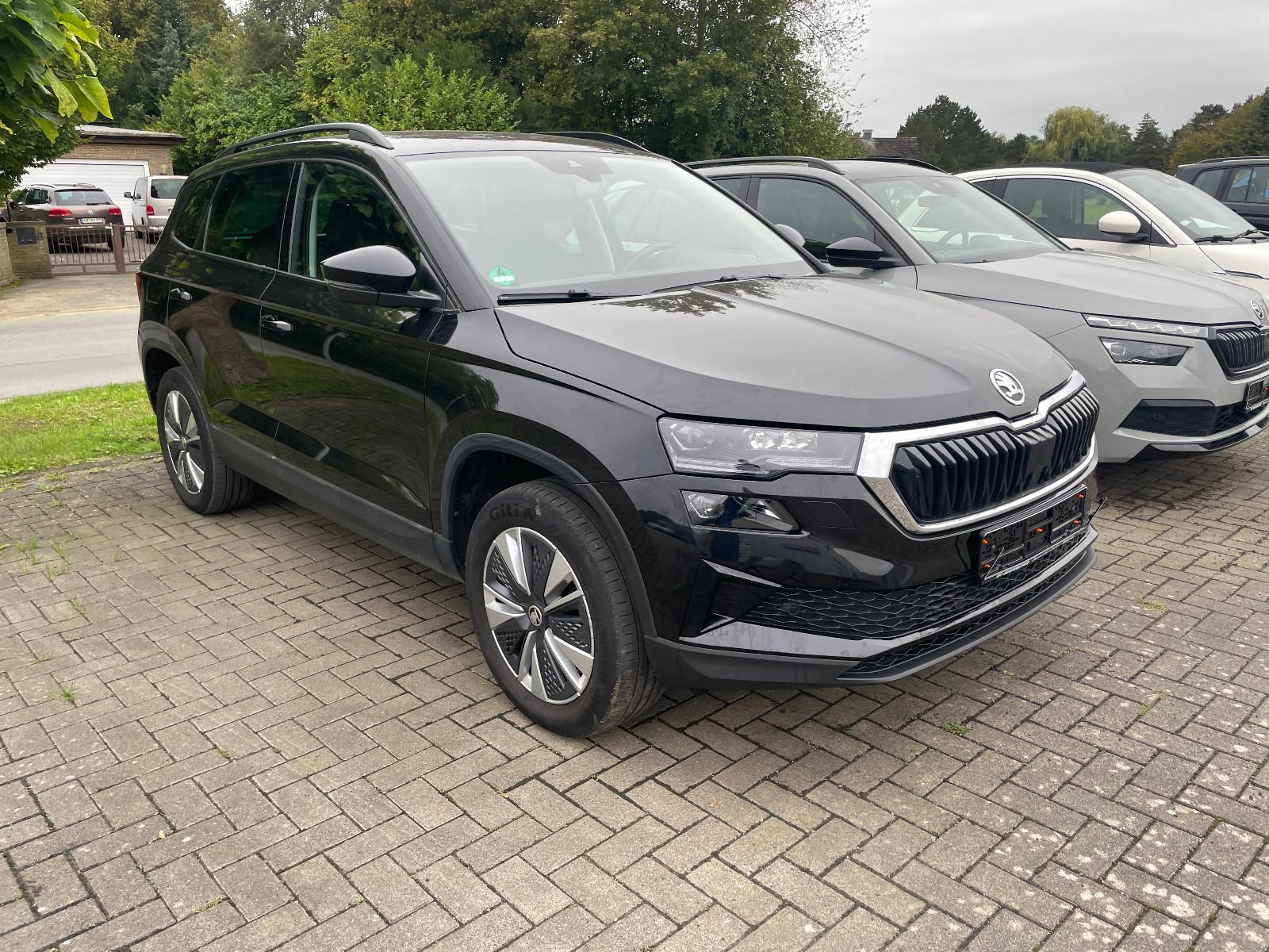 Skoda Karoq Ambition 4x4, AHK, KAMERA