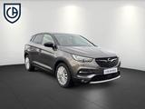 Opel Grandland X 1.2 Turbo Design Line ABS Fahrerairb - Opel Grandland (X) Design-Line mit Benzin-Antrieb