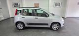 Fiat Panda 1,2 Klima PDC Allweterreifen TÜV 03/2028 - Fiat Panda Gebrauchtwagen in Stuttgart