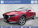 Mazda CX-30 "Selection" 2.0l 150PS "DES-P" "ACT-P" *BO - Mazda CX-30 in Berlin