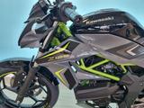 Kawasaki Z 125 2026 *sofort verfügbar* - KLEINKRAFTRAD 125