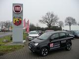 Fiat Panda Cross City Plus Hybrid, Klima,Servo,Radio - Fiat Panda Gebrauchtwagen in Mönchengladbach