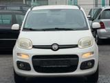 Fiat Panda Lounge Gewerbe/Export - gebrauchte Fiat Panda aus dem Jahr 2012