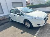 Fiat Punto 1.2  - Fiat Punto in Bielefeld