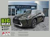 Lexus UX 250h Style Edition Navi*KAM*DAB*SHZ*Lenkradhz - Lexus UX: Style Edition
