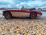 Austin Healey 3000 MK II BJ 7 1963 - gebrauchte Austin Healey Roadster