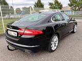 Jaguar XF 3.0 V6 Diesel S Navi+Camera/SD/Leder/AHK - Jaguar XF: 3.0