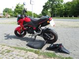 Honda MSX 125 Grom - Offers matching your search criteria
