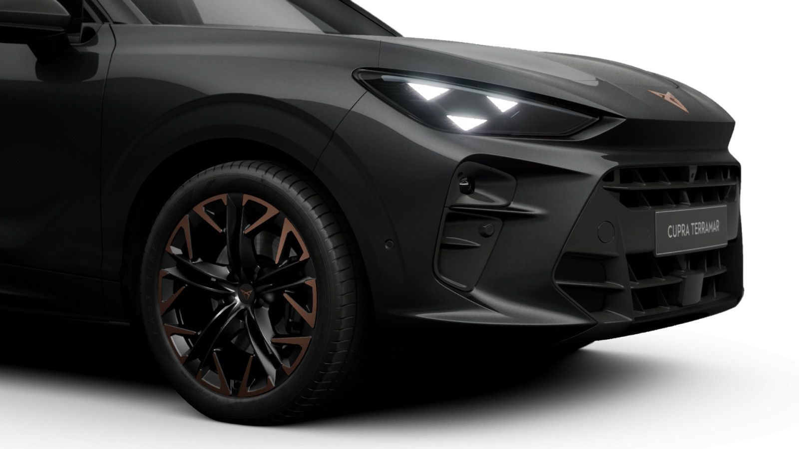 Cupra Terramar - Bild 3