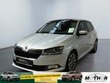 Skoda Fabia Clever 1.0 TSI Panoramaglasdach Smartlink