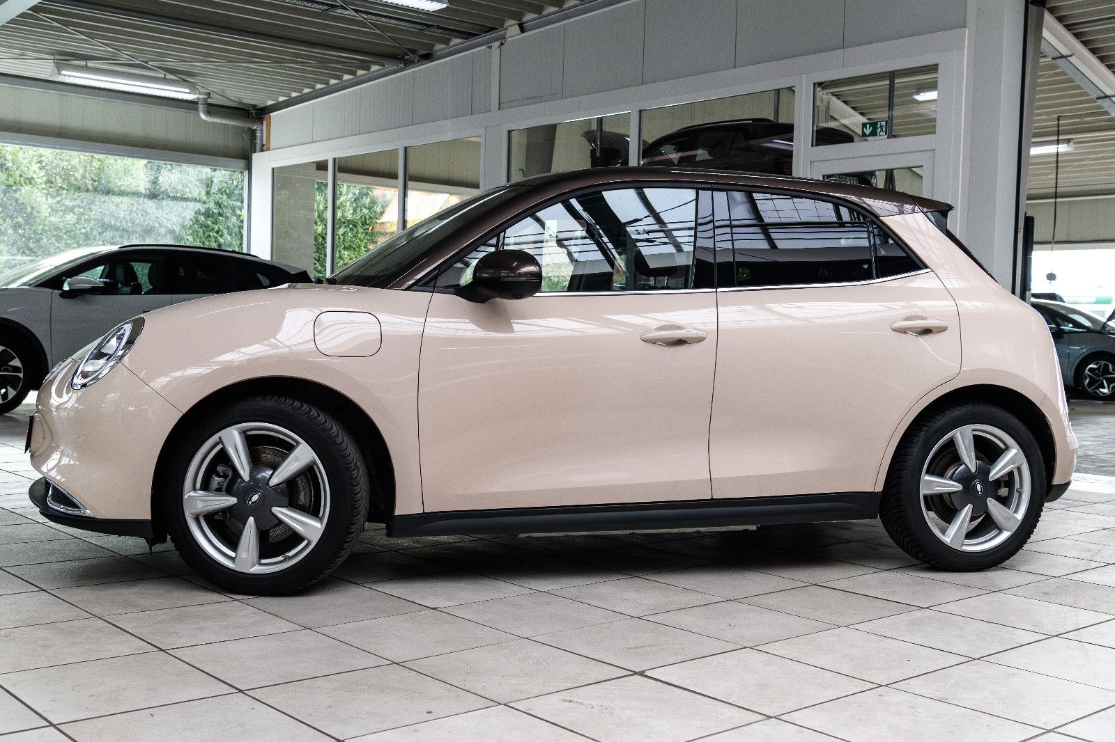 Fahrzeugabbildung GWM Ora 03 400 Pro *Wäpu *Bicolor *Allwetter