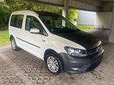 Volkswagen Caddy PKW Trendline BMT DSG  4Motion - Volkswagen Caddy: 4motion Dsg