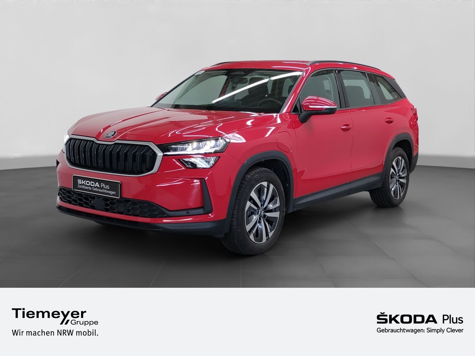 Skoda Kodiaq iV SELECTION NAVI ASSIST KAMERA LM18