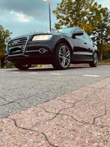 Audi SQ5 Leder pano quatro - Audi SQ5 in Gelsenkirchen