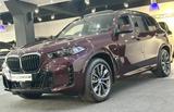 BMW X5 30 d xDrive M SPORT PRO SKY*ICONIC*AHK*STHZ - BMW: ST