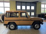 Mercedes-Benz G 300 - Mercedes-Benz G 300: Geländewagen