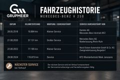 MERCEDES-BENZ V 250d lang Blue Avantgarde Panorama Sitzklima