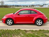 Volkswagen Beetle 1.2 TSI Design mit CarPlay & Käfer-Felgen - : Felge