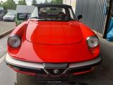 Alfa Romeo Spider 2.0 - Alfa Romeo aus 1983
