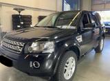 Land Rover Freelander 2 SE TD4 | LEDER SHZ NAVI - Land Rover Freelander: Freelander2