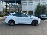 Maserati Grecale 2.0 Modena Pano Privacy Voll-Leder Navi - weiße Maserati Grecale