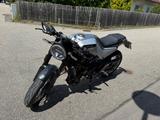 Husqvarna Vitpilen 401  | TÜV + Service NEU | Shark-AGA - HUSQVARNA VON 251 BIS 500 CCM