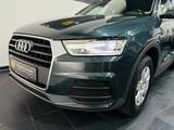 Audi Q3 EDITION*AHK*PDC*SOUND*SHZG*NAVI*KLIMA*XENON+ - mit Benzin-Antrieb: Grün, Ambiente-Beleuchtung, Geländewagen