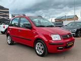 Fiat Panda 1.2 8V Emotion Automatik+Klima - Fiat Panda: Automatik