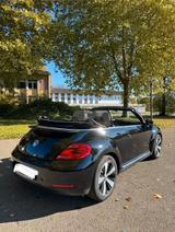 Volkswagen Beetle 1.2 TSI DSG BMT ALLSTAR Cabriolet ALLSTAR - Volkswagen Beetle ALLSTAR mit Benzin-Antrieb
