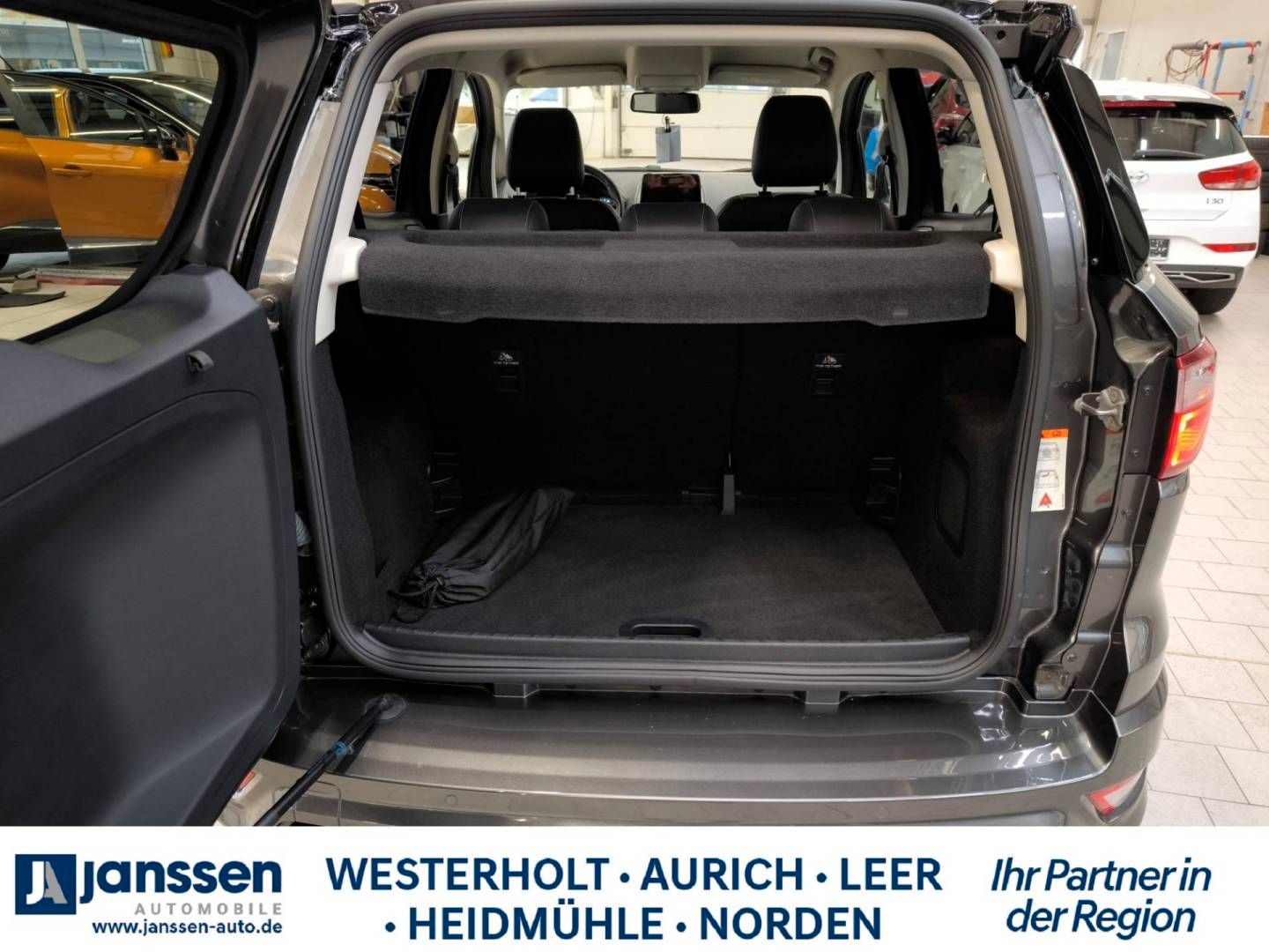 Fahrzeugabbildung Ford Ecosport EcoBlue ST-Line
