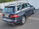 Mercedes-Benz ML 350 BlueTEC 4MATIC  - Mercedes-Benz ML 350: 4matic