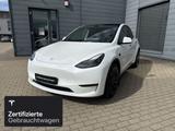 Tesla Model Y Performance - mit Elektro-Antrieb: Leder