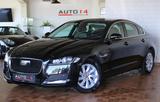 Jaguar XF 20d Prestige Leder Navi Meridian Xenon Kamera - Jaguar XF: 20d