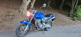 Honda Sc48 hornet 900  - Offers matching your search criteria