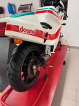 Bimota DB1 - BIMOTA MOTORRAD
