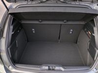 Ford Focus - Vorschau Bild 13