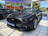 Ford Mustang Convertible 5.0 *1.Hd.*dt.Fzg.*SH-gepfle - Ford Mustang mit Schiebedach
