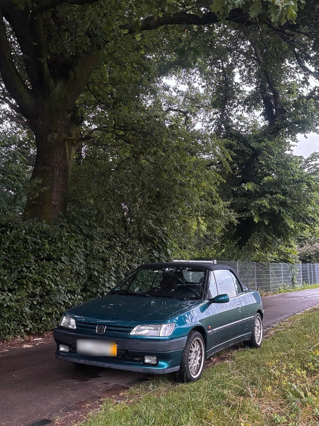 Peugeot 306 Cabriolet 2.0 8V  TÜV bis 07/...