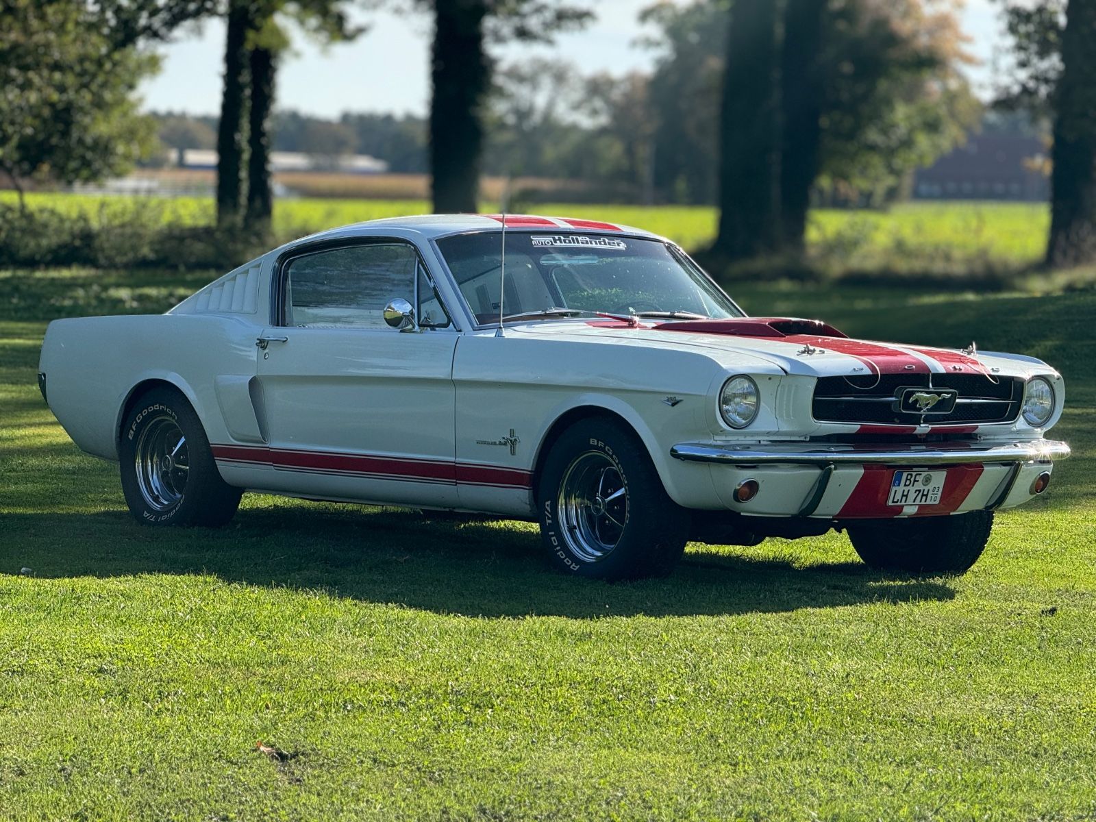 Fahrzeugabbildung Ford Mustang Fastback 4,7 V8 2+2 Fastback Pony