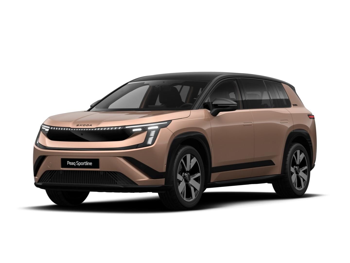 Skoda Andere - Bild 2
