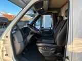 Fiat Ducato - Fiat Alkoven Ducato