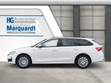 Skoda Octavia 1.5 TSI Kombi  DSG AHK GRA Sithzg. PDC - Skoda Octavia Neuwagen in Stuttgart
