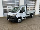 Fiat Ducato 35 140 L2 Pritsche,AHK,Navi4JahreGarantie - Offers matching your search criteria