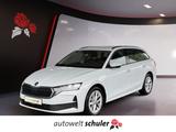 Skoda Octavia Combi 1,5 TSI DSG Selection Navi Kamera - Skoda Octavia aus 2024