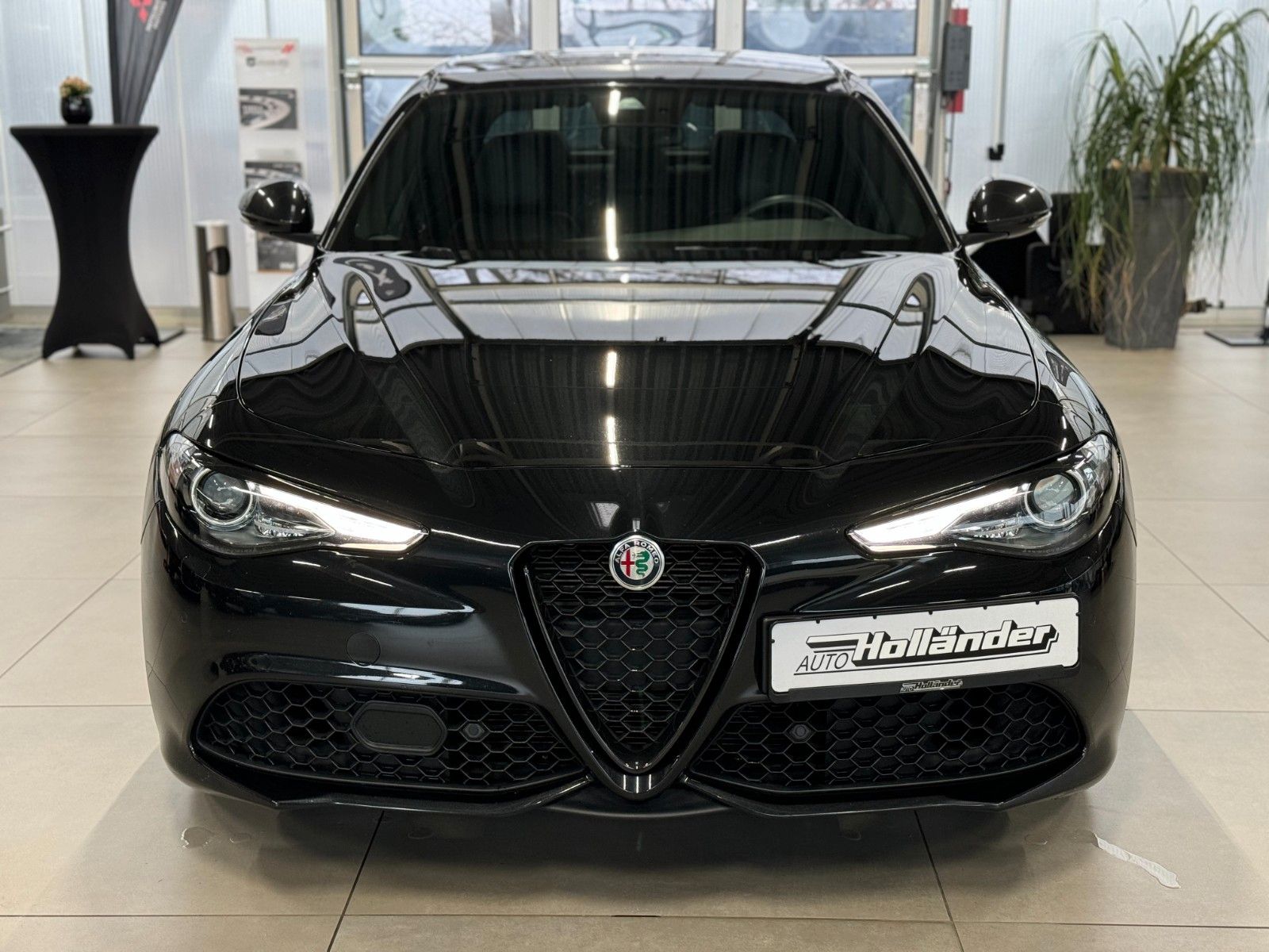 Fahrzeugabbildung Alfa Romeo Giulia 2.0 T 16V  Veloce Q4