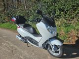 Honda S-Wing, FES125-A - Angebote entsprechen deinen Suchkriterien