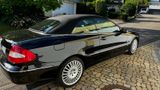 Mercedes-Benz CLK 500 ELEGANCE ELEGANCE - Mercedes-Benz: Clk