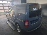 Volkswagen Caddy 1.2 TSI Kasten EcoProfi*Motor überholt*... - Volkswagen Caddy mit 3 Türen