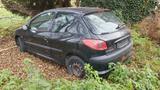 Peugeot 206 1.1 Filou 60 Filou - Peugeot 206 in Dresden